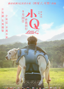 用力别停受不了了王总